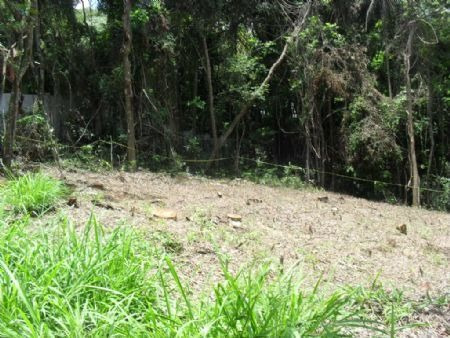 Imagem 2 de 3 de Venda Residential / Land Lot Serra Da Cantareira São Paulo - 2178