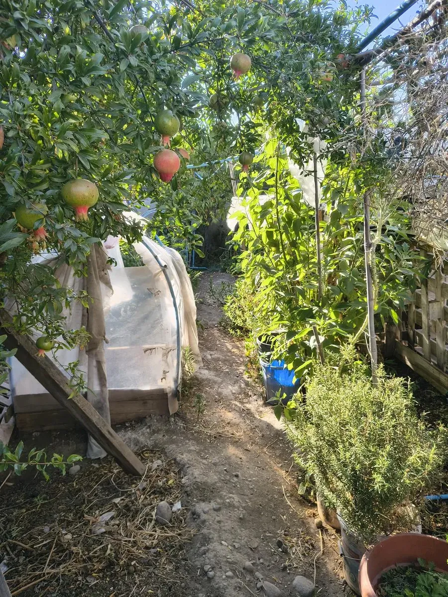 Imagen 1 de 15 de Casa En Venta San Bernardo, Un Piso, Cercano Al Centro
