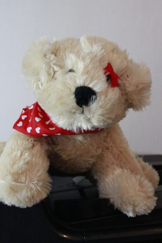 Peluche Perro  Anico Int'l Nj Usa 20cm