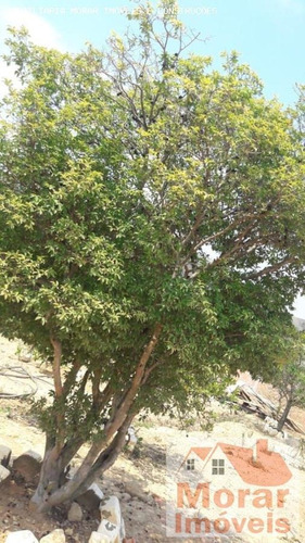 Imagem 4 de 13 de Terreno Para Venda Em Pirapora Do Bom Jesus, Pirapora Do Bom Jesus - Bh3030_2-1627746