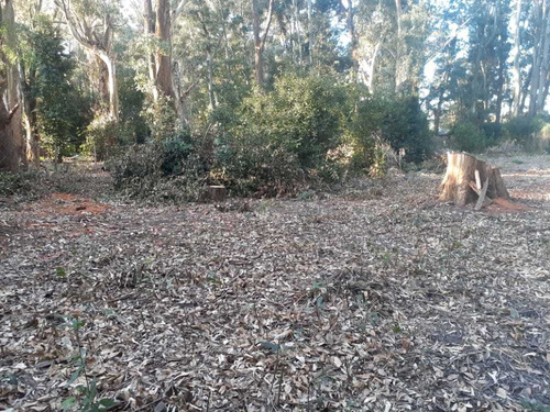 Lote Sobre Ruta 11 En Sarandi Proyecto Cabaña Financio