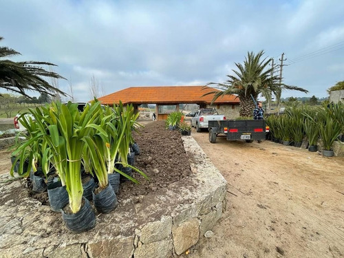 Imagen 1 de 6 de Terreno En Venta En Manantiales