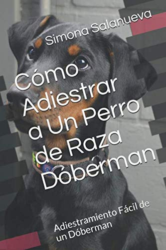 Cómo Adiestrar A Un Perro De Raza Dóberman: Adiestramiento F