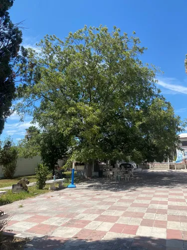 Quinta En Venta En Villas Campestres En Ciénega De Flores N.l. (incluye 3 Casas En El Terreno)