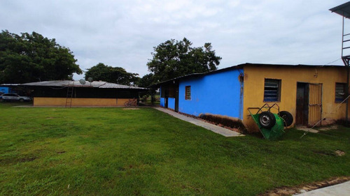 Imagen 1 de 14 de Venta Finca, Guigue Planta Cod. 155496
