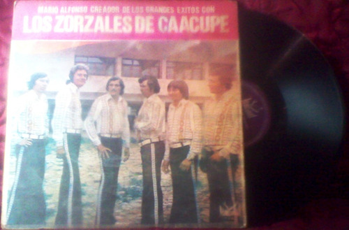 Los Zorzales De Caacupe (mario Alfonso) - Grandes Éxitos