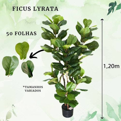 Ficus Lyrata Planta Arvore Artificial Com Vaso Toque Real