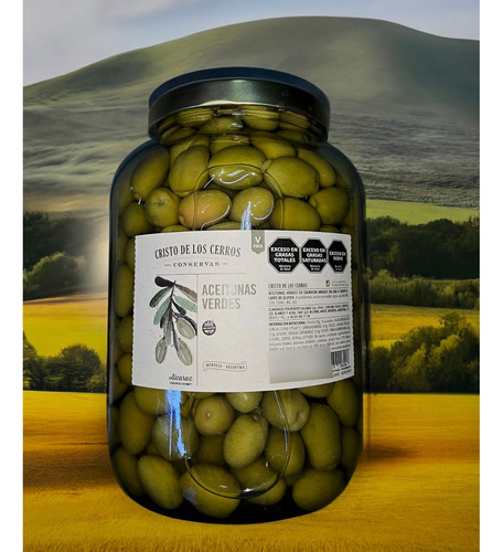 Aceitunas Verdes En Salmuera Cristo De Los Cerros X2800grms