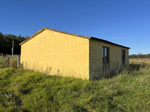 Excelente Campo De 102 Has Ganadero Con Casas Y Galpón