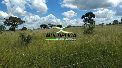Chácara Parcelada Uberlandia 20.000 M², Entrada R$ 38.000,00 E Parcelas De - 391