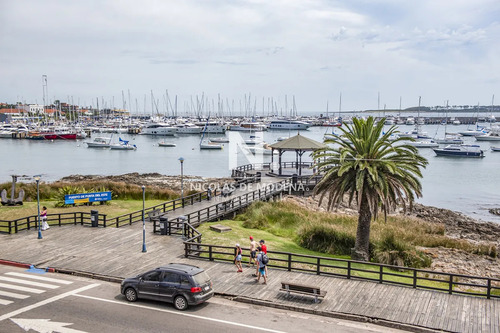 Apartamento Unico Frente Al Mar, Zona Puerto Con Piscina Propia.