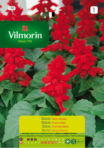 Semillas Salvia Roja Enana Flores Floral Jardin