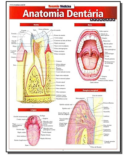 Libro Resumao - Anatomia Dentaria