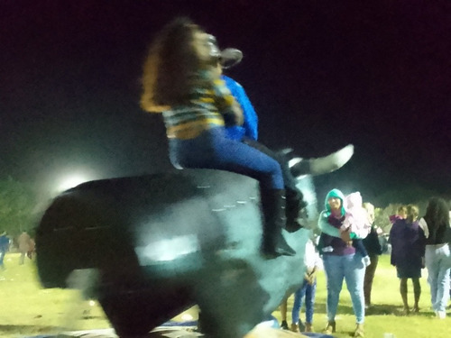 Imagen 2 de 5 de Renta De Toro Mecánico