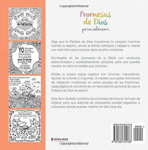 Promesas De Dios Para Colorear Medita En Verdades Biblicas, De Reina, Andr. Editorial Createspace Independent Publishing Platform, Tapa Blanda En Español, 2016