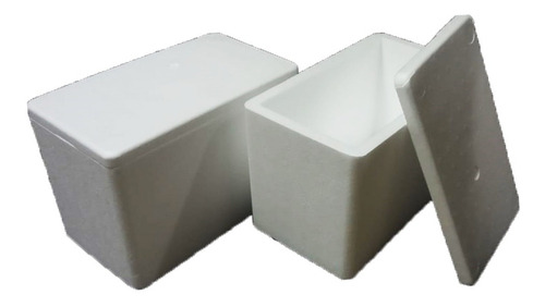 Conservadora De Telgopor 53 X 45 X 38 Cm Espesor 50 Mm