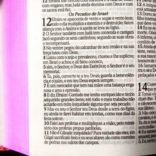 Bíblia Sagrada Moderna Evangelica Luxuosa Para Presente Kit