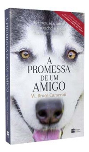 A Promessa De Um Amigo