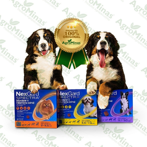Imagem 2 de 5 de Nex Gard Spectra Para Cães De 15,1 A 30kg - 1 Tablete