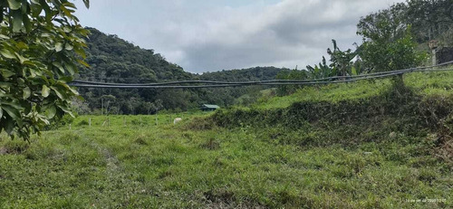 Imagem 6 de 14 de Miracatu/sitio Com 03 Lagos/pasto/curral/ref: 05068