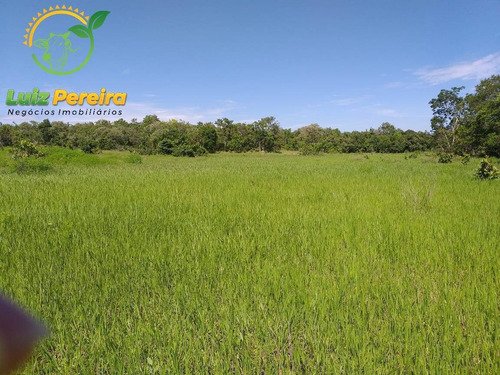 Imagem 3 de 9 de Fazenda À Venda Em Recursolândia -t0 - 3998 Hectares (dupla Aaptidão) - 1592