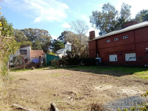 Imagen 3 de 6 de Lote Sobre El Monte