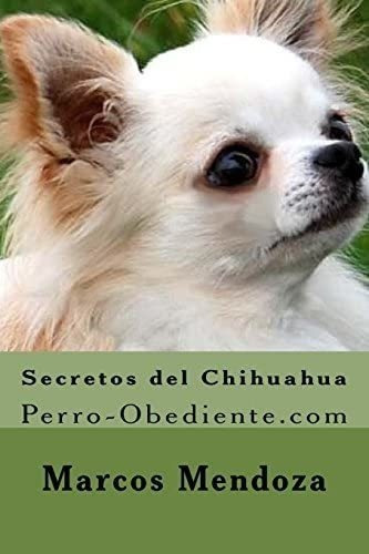 Libro: Secretos Del Chihuahua: Perro-obediente (spanish&..