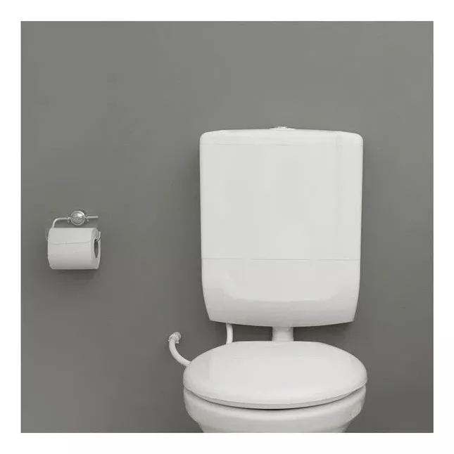Segunda imagem para pesquisa de descarga banheiro