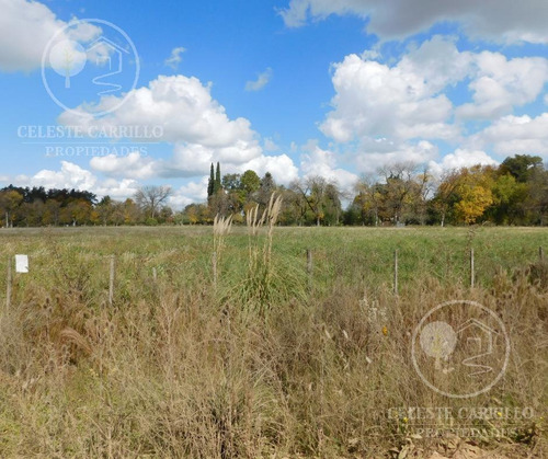 Imagen 7 de 12 de Venta - Lote - Terreno En Remanso - Exaltacion De La Cruz
