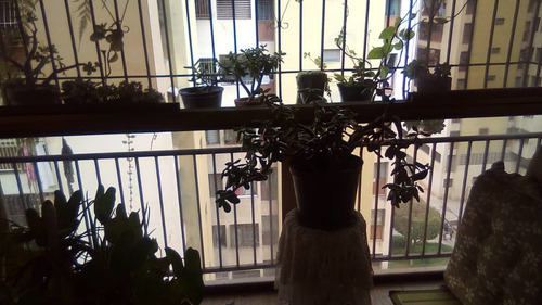 Imagen 5 de 10 de Apartamento En Los Teques