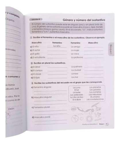 Practico Mi Gramática 2° Cuaderno De Trabajo / Primaria