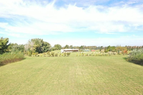 Imagen 5 de 10 de Pintoresca Chacra En Venta En Loma Escondida - Open Door - Mallmann Propiedades