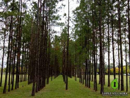 Imagen 9 de 14 de Terreno En Venta En Country Chacra De La Villa Villa Allende Zona Norte Córdoba