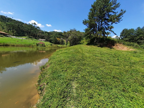 Imagem 19 de 30 de Chácara Para Moradia À Venda Juquitiba/sp - 297 - 70676090