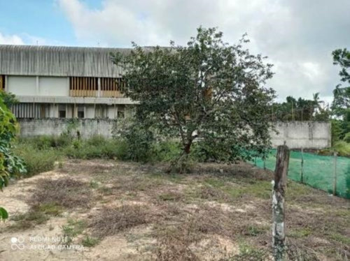 Imagem 14 de 23 de Chácara Com 05 Dormitórios Sendo 01 Suíte, 03 Banheiros, 02 Salas E 02 Cozinhas E Com 15.000 M² De Área Total, Em Peruíbe, No Bairro São Francisco Ref: 7882/ac