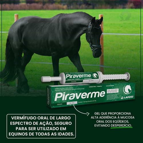 Kit 05 Piraverme 25g Lavizoo Vermifugo Gel Para Cavalo Potro