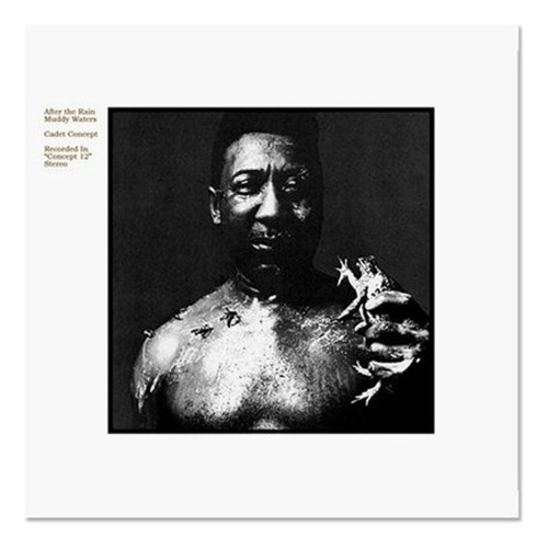 Muddy Waters Vinilo After De Rain Importado Nuevo