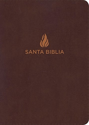 Rvr 1960 Biblia Letra Grande Tamano Manual Marron, Piel Fabr