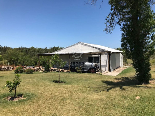 Imagen 27 de 27 de Chacra Muy Cerca De Ruta 104 Y Camino Egusquiza, Casa Y Piscina. Consulte!!!!