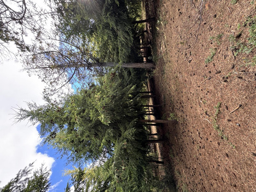 Terreno En Trevelin
