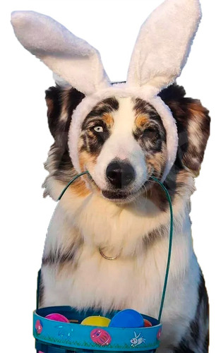 Diadema Orejas De Conejo Peluche Disfraz Fiesta 30 Cm 12 Pzs Color Color Al Azar