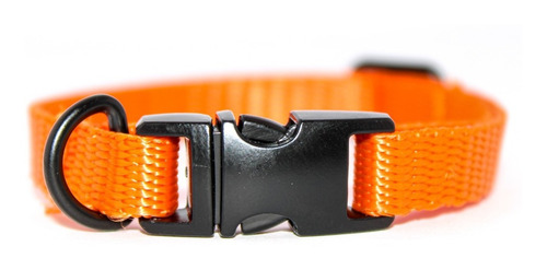 Pack 3 | Collar Para Perro Con Herraje Metálico | Chico