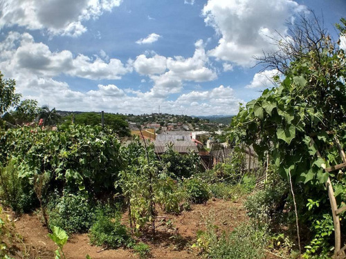 Imagem 9 de 22 de Casa Residencial À Venda, Petrópolis, Novo Hamburgo. - Ca1013