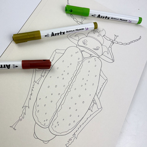 Libro Para Colorear: Fauna Y Flora - Vicky Aguirre/tapa Dura