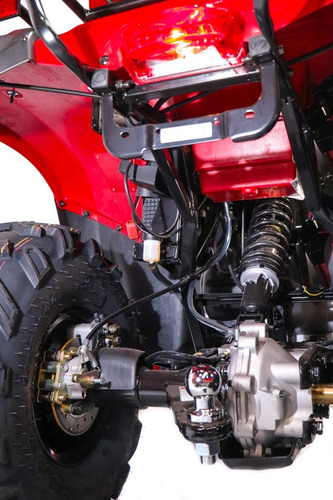 Imagen 10 de 11 de Cuatrimoto Plr 300cc 4x4 Con Bajo Automatica
