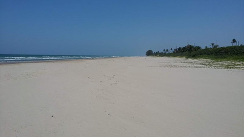 Venta Lotes 600 M² Playa De Barra Galindo Tamiahua Veracruz