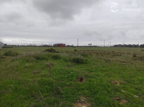 Terreno 5300m2 En Playa Los Molles, Comuna De La Ligua.