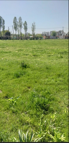 Imagen 2 de 6 de Lotes En Gral. Rodriguez. Con Escritura
