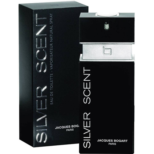 Perfume Masculino Silver Scent 100ml