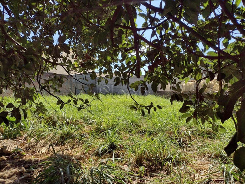 Imagem 3 de 3 de Terreno À Venda Em Nova Campinas - Te029386